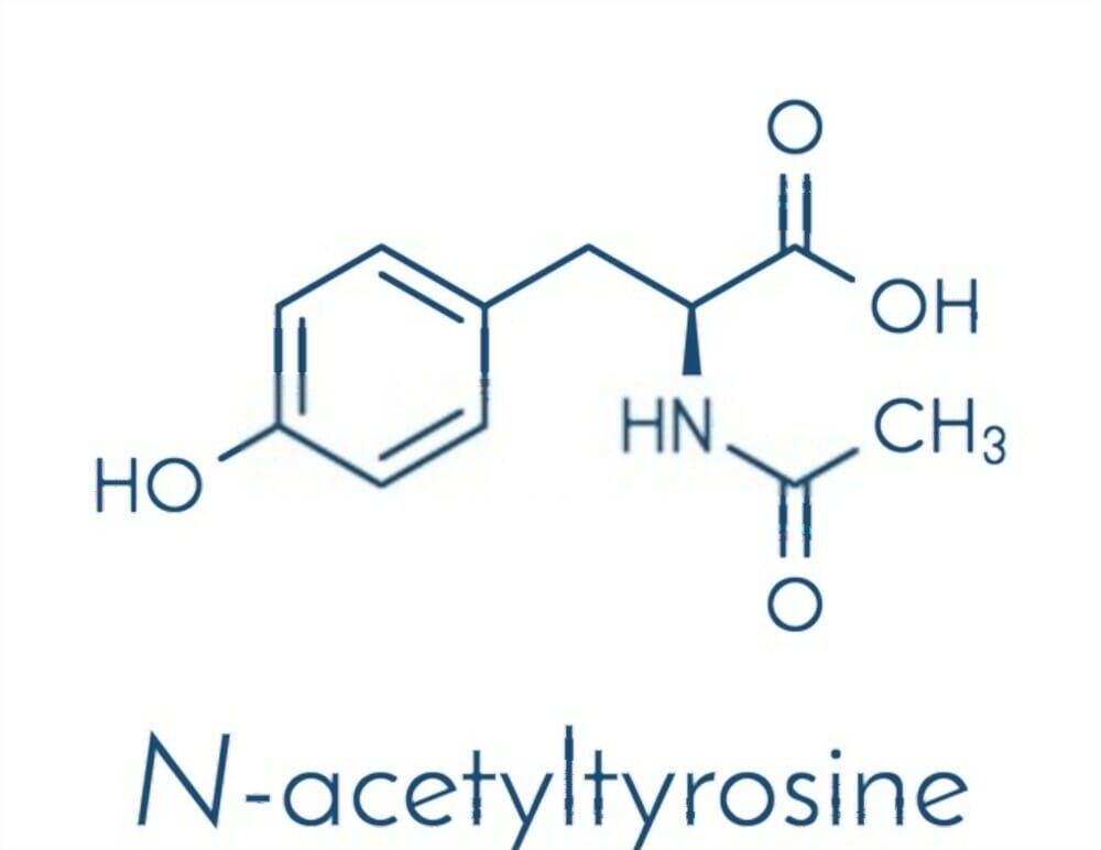  N-Acetyl L-Carnitine 